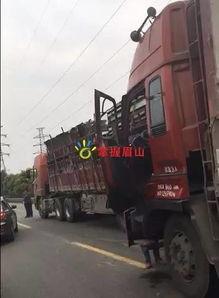 大货车爆料视频,爆料视频背后的辛酸与挑战  第1张
