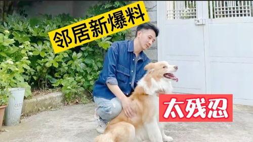 二狗子邻居爆料视频,邻里纠纷背后的惊人真相 第3张 二狗子邻居爆料视频,邻里纠纷背后的惊人真相 第3张