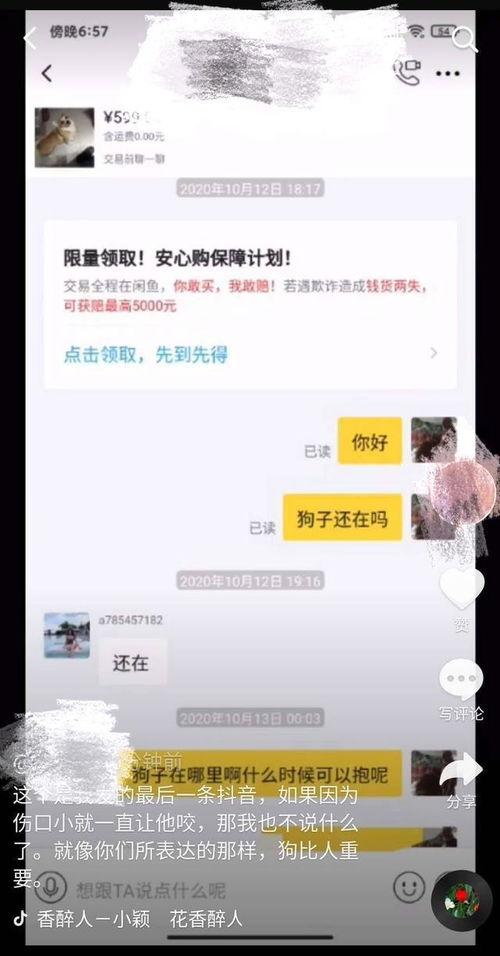 爆料发短视频,揭秘幕后真相  第1张