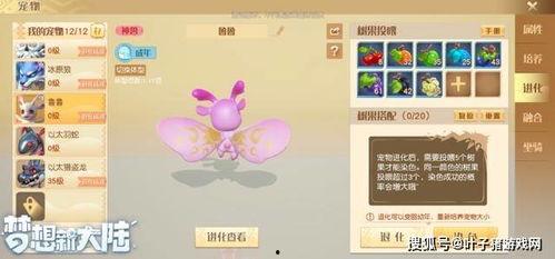 寻梦最新爆料消息,神秘新角色揭秘，剧情走向再引热议  第1张